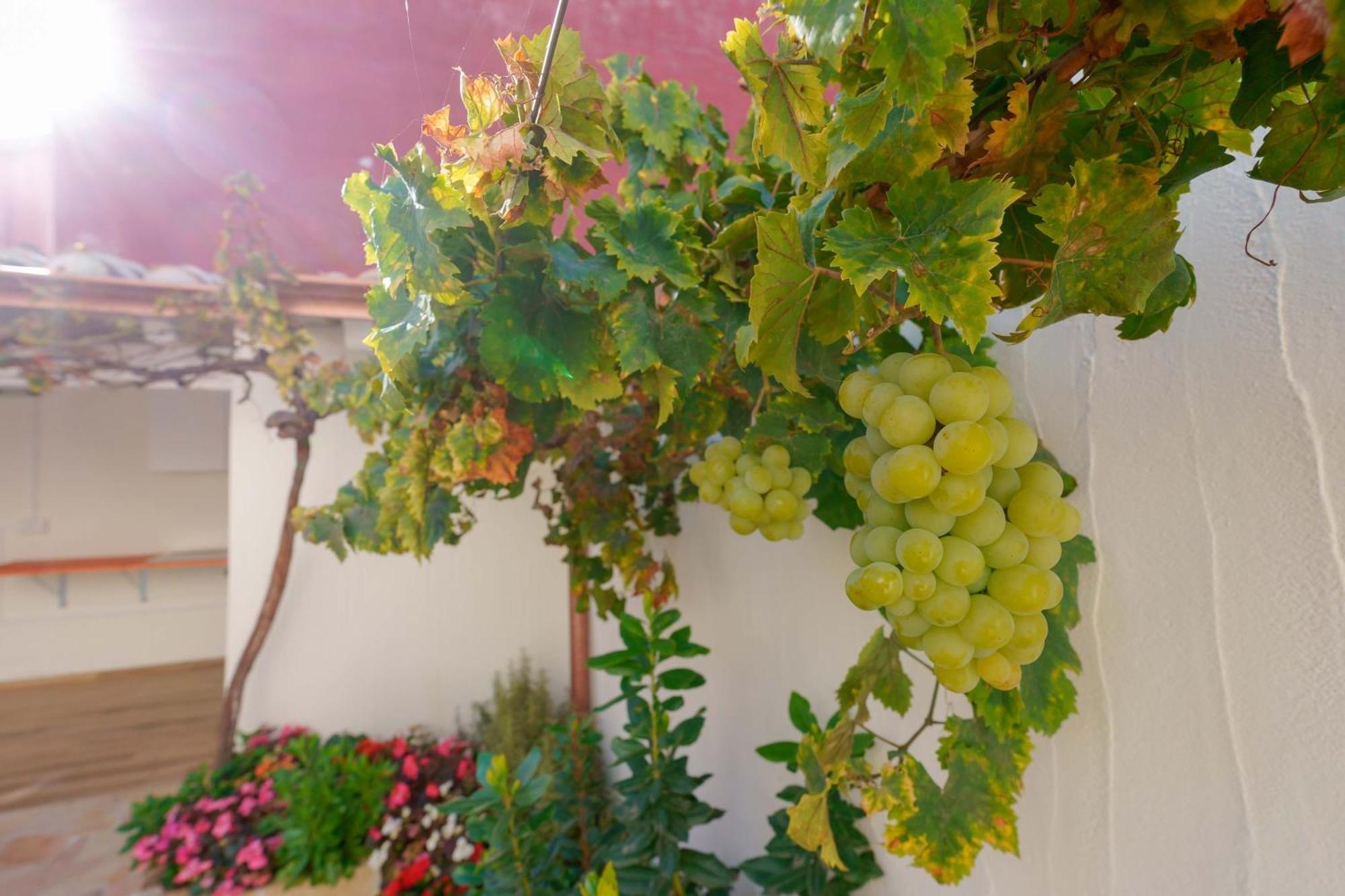 Guest House Deidda - Ts Rooms B&B San Sperate 外观 照片