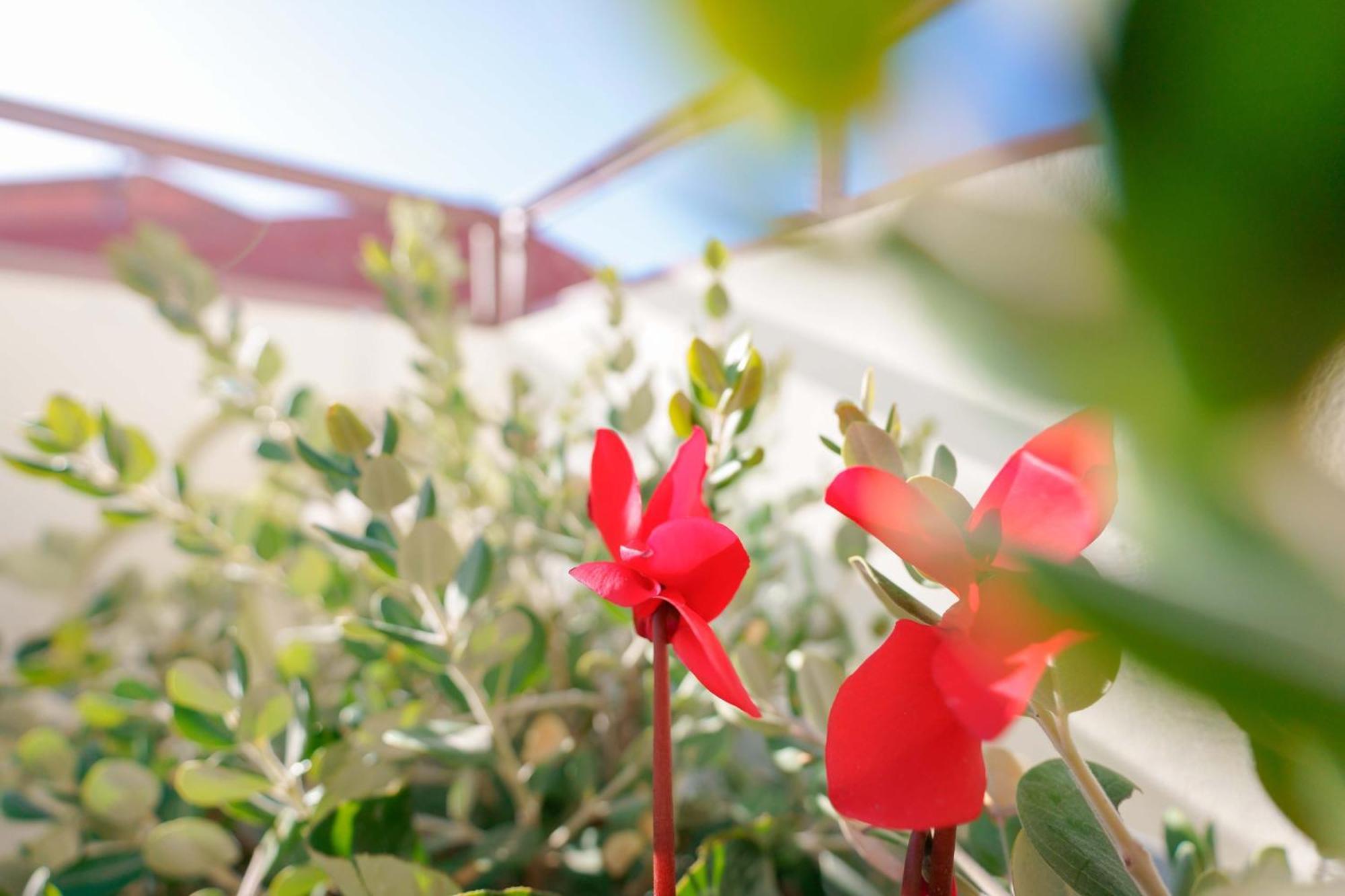 Guest House Deidda - Ts Rooms B&B San Sperate 外观 照片